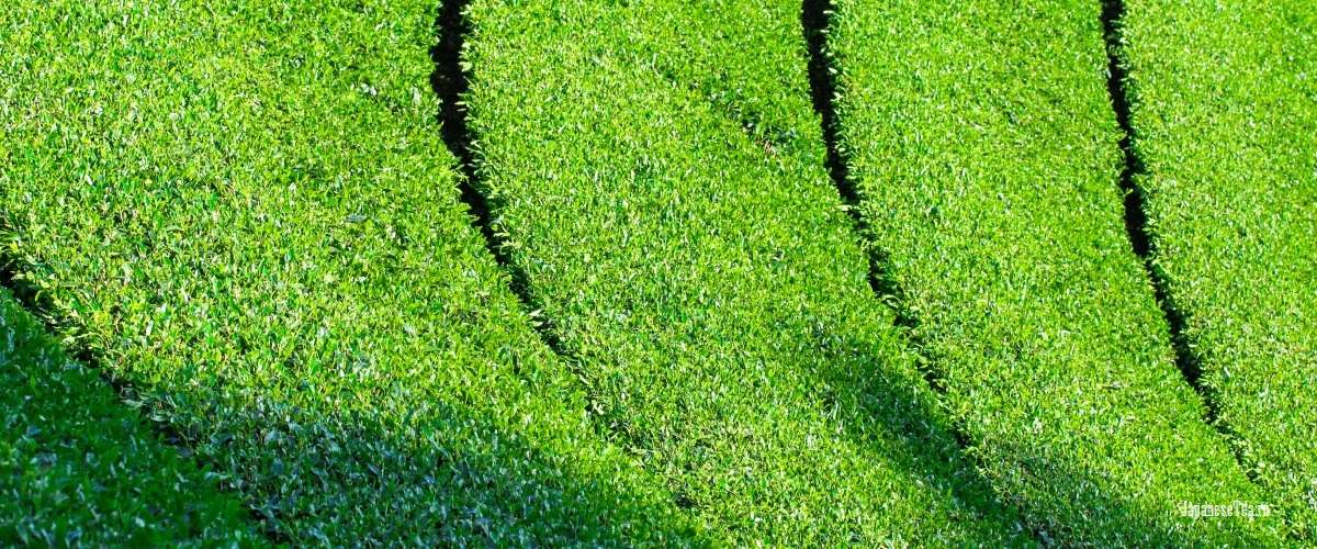 slide_5