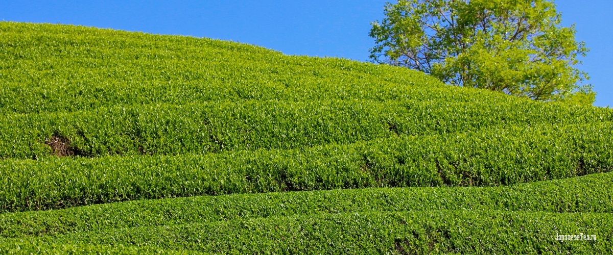 slide_1